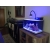 Lampa LED do akwarium morskiego Asta 20